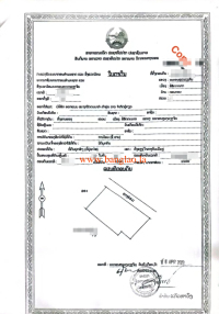 T00312